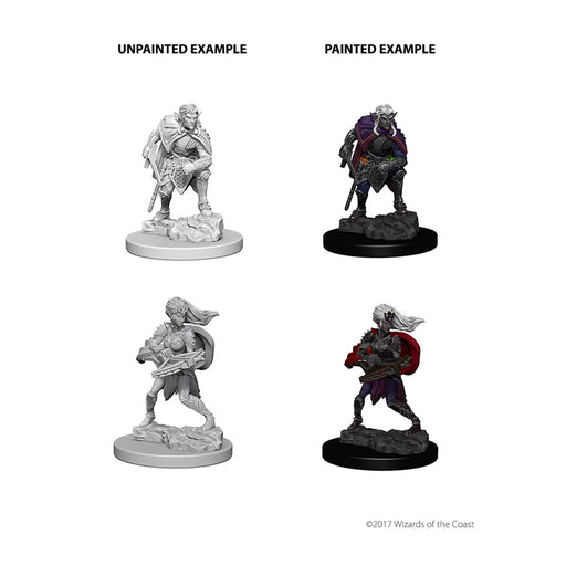 WizKids 73189 D&D Nolzurs Marvelous Miniatures: Drow (9003785715949)