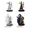 WizKids 73838 D&D Nolzurâ€™s Marvelous Miniatures: Male Half-Elf Monk (9003805180141)