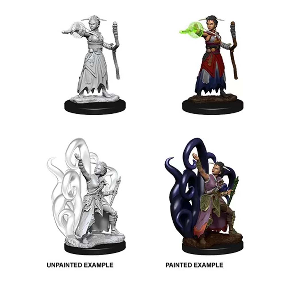 WizKids 73838 D&D Nolzurâ€™s Marvelous Miniatures: Male Half-Elf Monk (9003805180141)