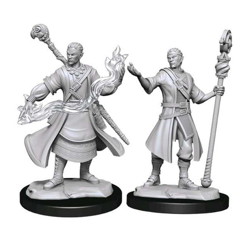 WizKids 90230 D&D Nolzurs Marvelous Miniatures: Half-Elf Paladin Male (9003822612717)