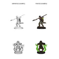 WizKids 72639 D&D Nolzurs Marvelous Miniatures Human Male Druid (9003781423341)