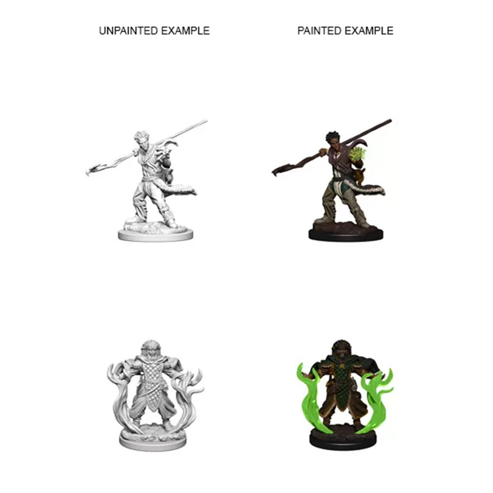 WizKids 72639 D&D Nolzurs Marvelous Miniatures Human Male Druid (9003781423341)