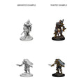 WizKids 72629 D&D Nolzurs Marvelous Miniatures Human Male Paladin (9003780669677)