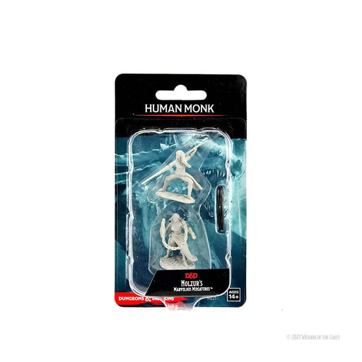 WizKids 90225 D&D Nolzurs Marvelous Miniatures: Human Monk Female (9003822317805)
