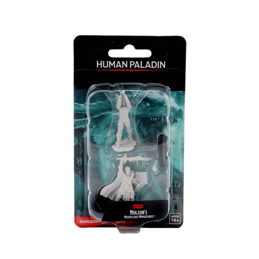 WizKids 90060 D&D Nolzurs Marvelous Miniatures: Male Human Paladin (9003815502061)
