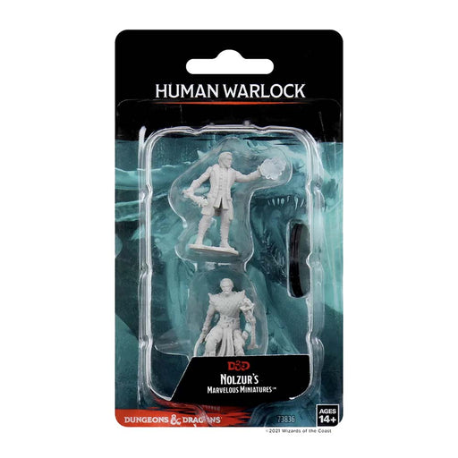 WizKids 73836 D&D Nolzurs Marvelous Miniatures Male Human Warlock (9003805081837)