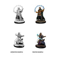 WizKids 90011 D&D Nolzurs Marvelous Miniatures Male Human Wizard (9003812421869)