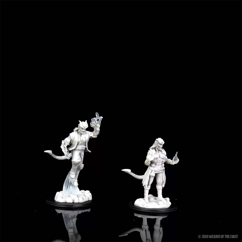 WizKids 90059 D&D Nolzurs Marvelous Miniatures: Female Tiefling Sorcerer (9003815436525)