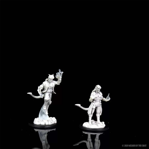 WizKids 90059 D&D Nolzurs Marvelous Miniatures: Female Tiefling Sorcerer (9003815436525)