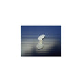 Dumas 3002 Plastic Prop for .09 - 1/8" Ho (8278218408173)