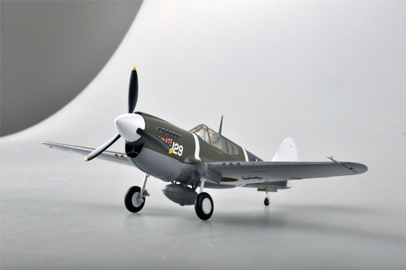 Easy Model 39311 1/48 P-40M 44FS,18FG Assembled Model (8966292799725)