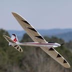 E-Flite Conscendo 2.0m Bind and Drive Basic with AS3X+ and SAFE Select RC Glider (41)