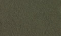 Woodland Scenics T1341 Fine Turf Shaker Soil/50 cu. in. (6660651221041)
