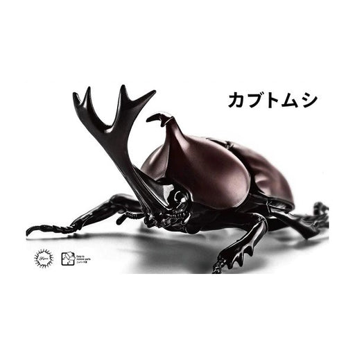 Fujimi 171234 Biology: Beetle (8324822860013)
