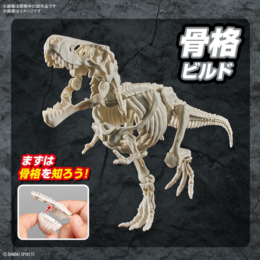 Bandai G5064262 PLANNOSAURUS Tyrannosaurus - Hobby City NZ