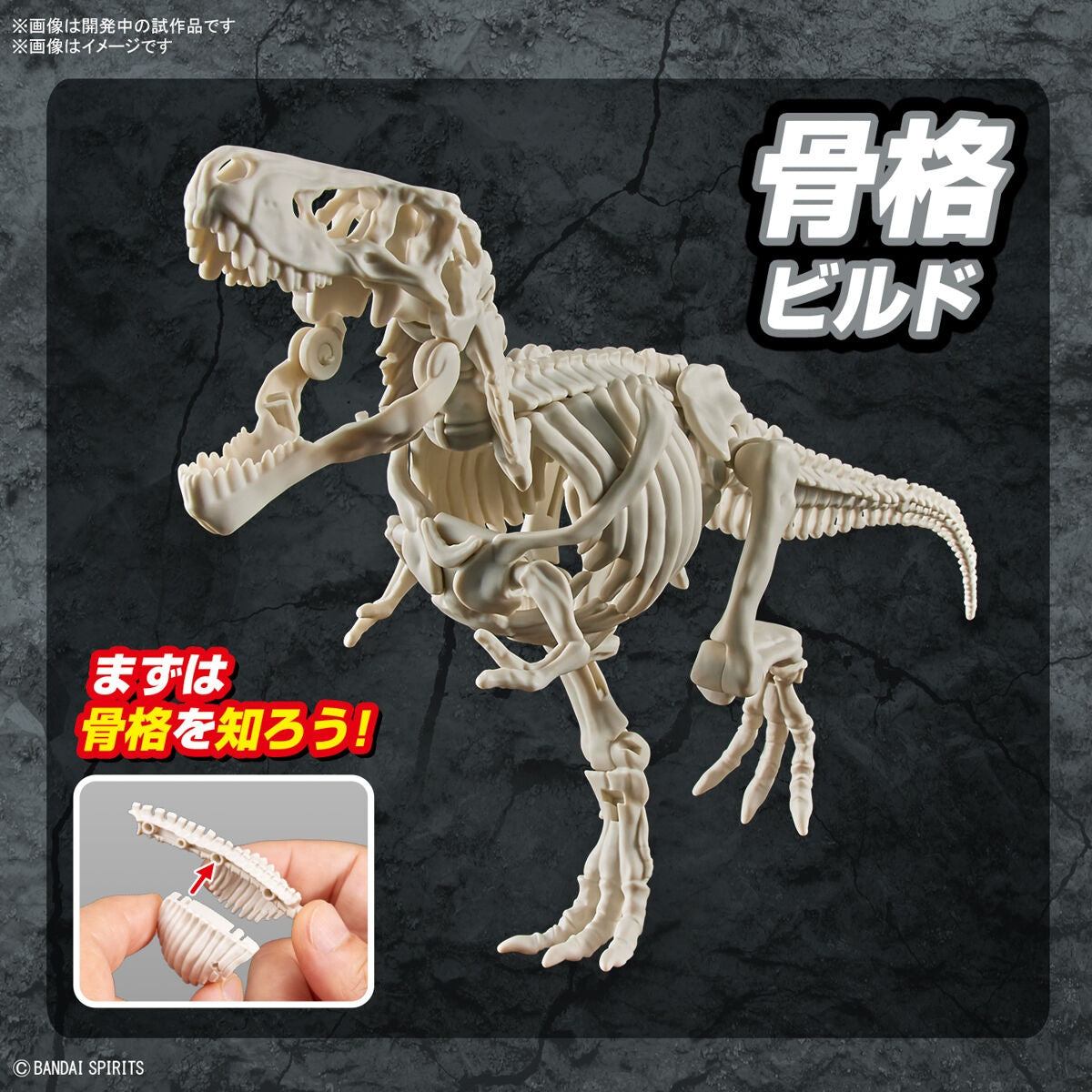Bandai G5064262 PLANNOSAURUS Tyrannosaurus - Hobby City NZ