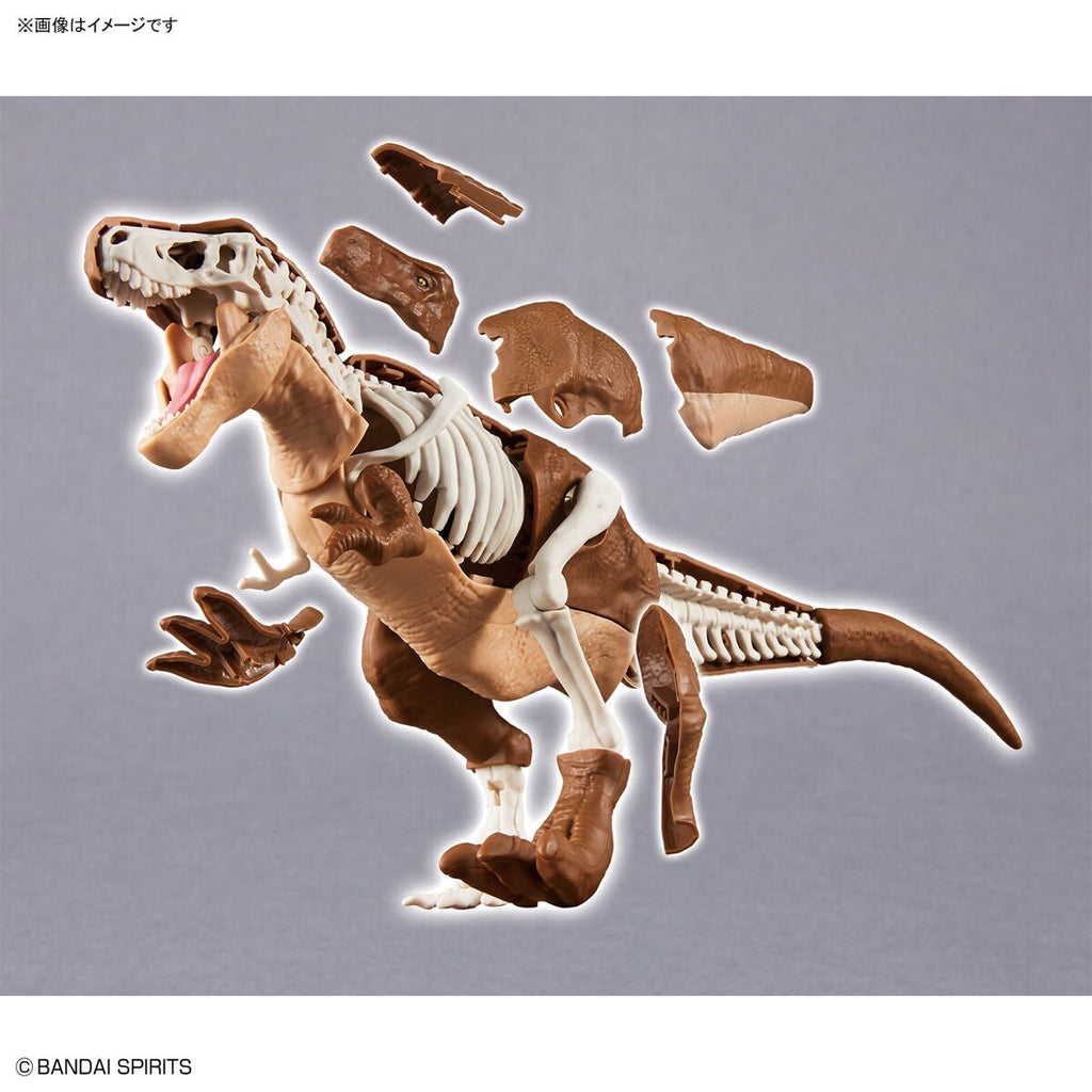 Bandai G5064262 PLANNOSAURUS Tyrannosaurus - Hobby City NZ