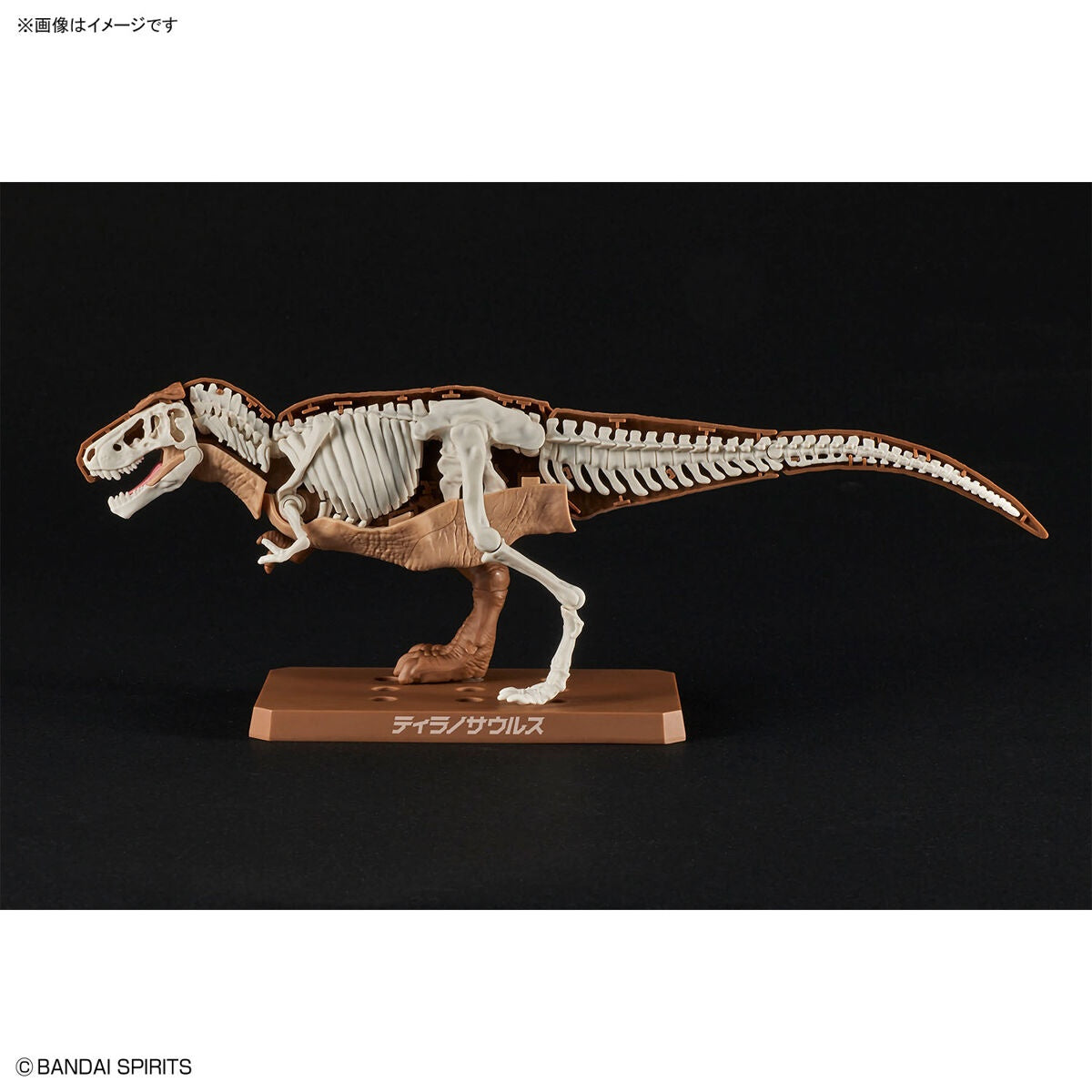Bandai G5064262 PLANNOSAURUS Tyrannosaurus - Hobby City NZ