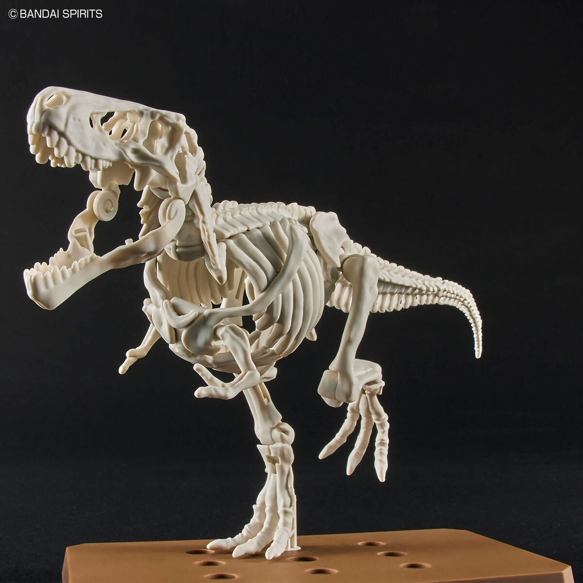 Bandai G5064262 PLANNOSAURUS Tyrannosaurus - Hobby City NZ
