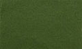 Woodland Scenics G6436 Spring Grass All Game Terrain (8932304224493)