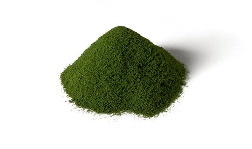 Woodland Scenics G6436 Spring Grass All Game Terrain (8932304224493)