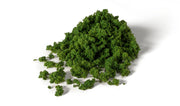 Woodland Scenics G6462 Medium Green Foliage Clumps All Game Terrain (8932305895661)