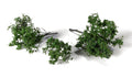 Woodland Scenics G6481 Spring Brambles All Game Terrain (8932306583789)
