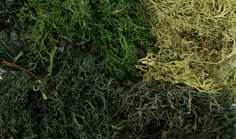 Woodland Scenics G6501 Summer Mix EZ Bushes (8932307632365)