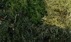 Woodland Scenics Summer Mix EZ Bushes All Game Terrain