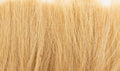 Woodland Scenics G6507 Gold Tall Grass All Game Terrain (8932307927277)