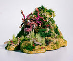 Woodland Scenics G6508 Green Tall Grass All Game Terrain (8932308123885)