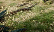 Woodland Scenics G6532 Natural Gravel All Game Terrain (8932309074157)