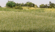 Woodland Scenics G6571 4mm Light Green Static Grass (8932311105773)