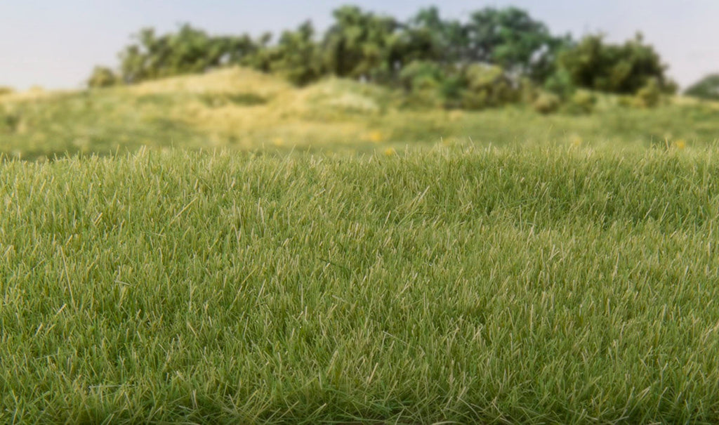 Woodland Scenics G6572 4 mm Medium Green Static Grass All Game Terrain (8932311302381)
