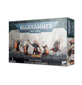Games Workshop Warhammer 40 000 52.35 Celestian Sacresants