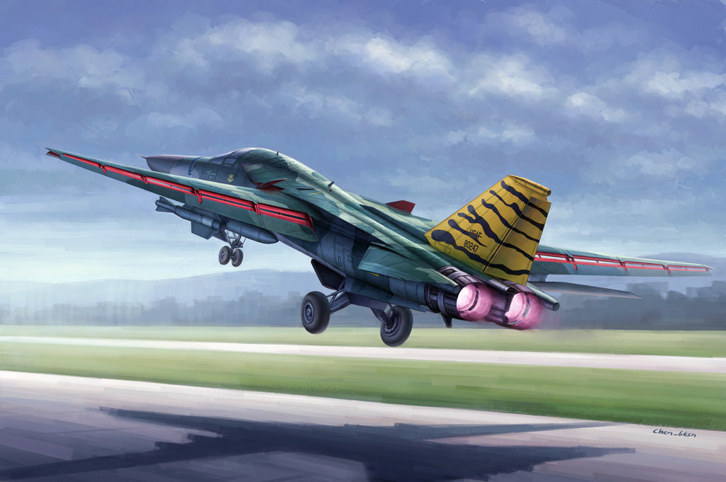 Hobby Boss 1/48 FB-111 Aardvark