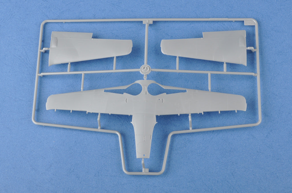 Hobby Boss 1/48 Focke-Wulf FW190D-9 (7)