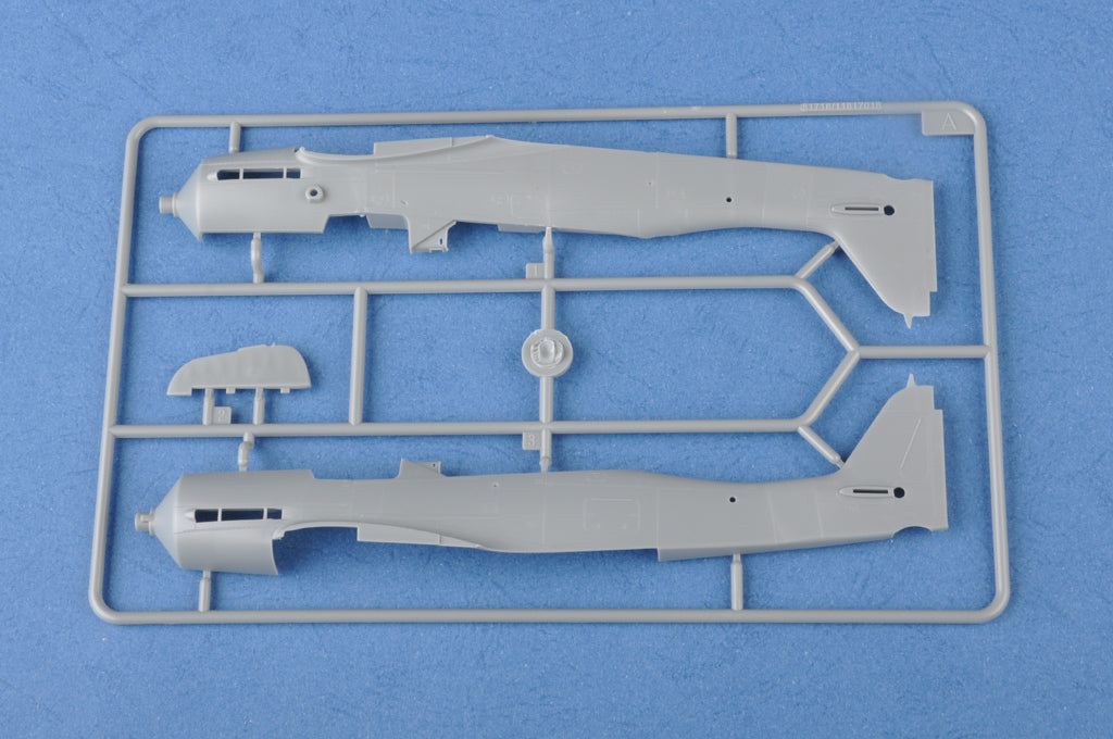 Hobby Boss 1/48 Focke-Wulf FW190D-9 (6)