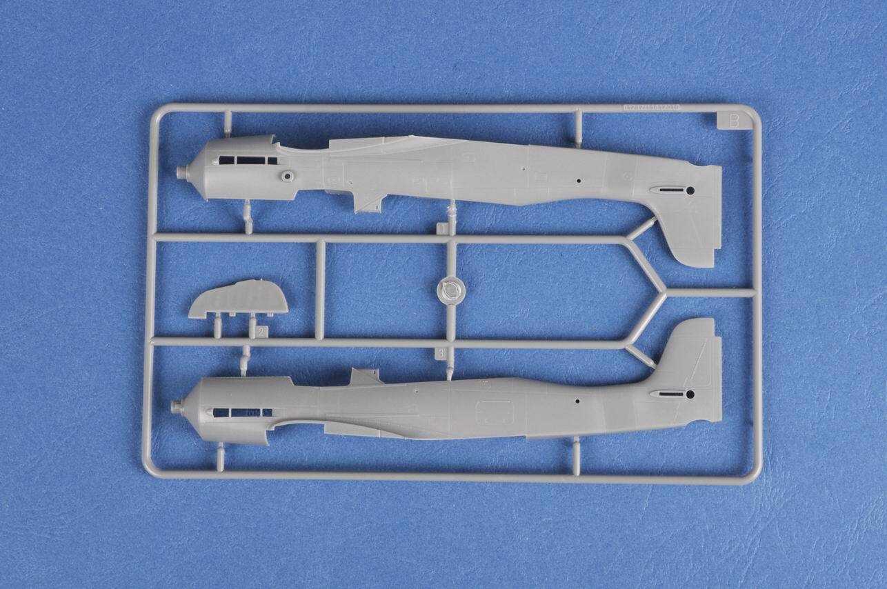 Hobby Boss 1/48 Focke-Wulf FW190D-10 (6)