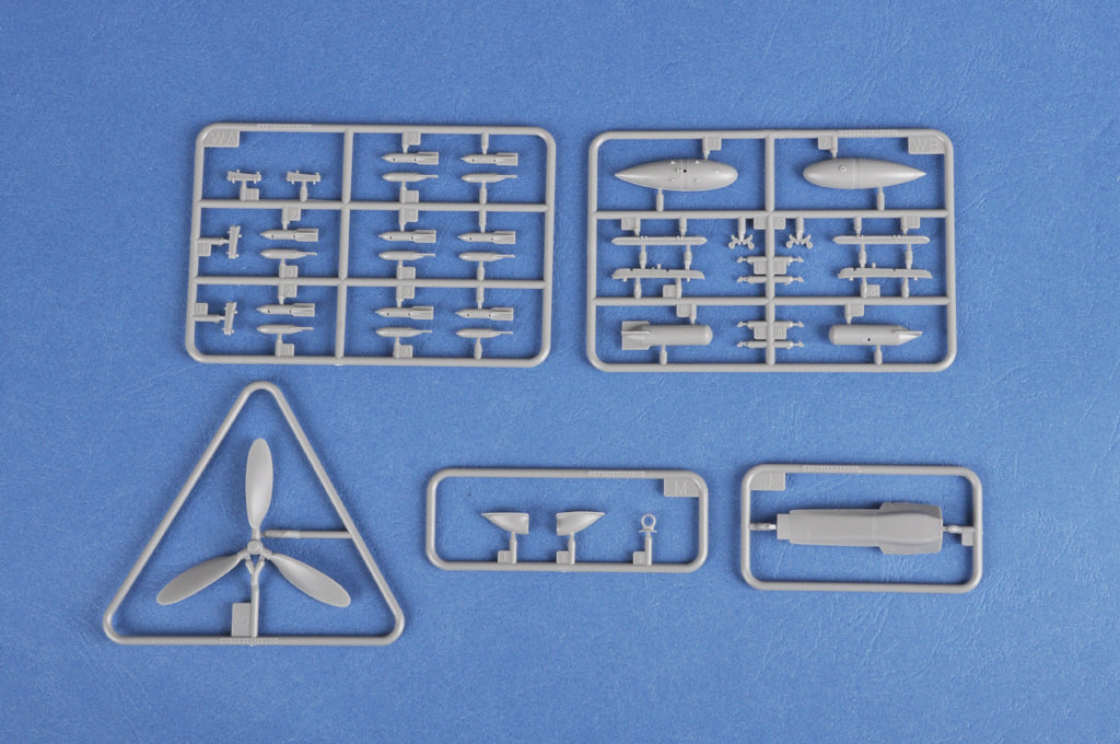 Hobby Boss 1/48 Focke-Wulf FW190D-10 (10)