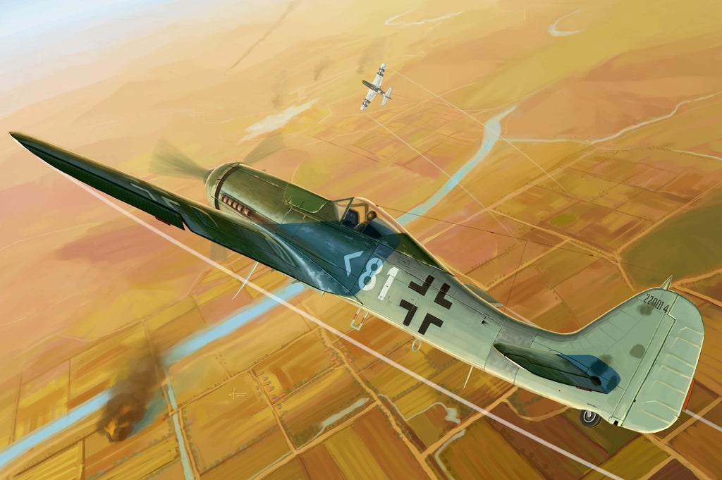 Hobby Boss 1/48 Focke-Wulf FW190D-11