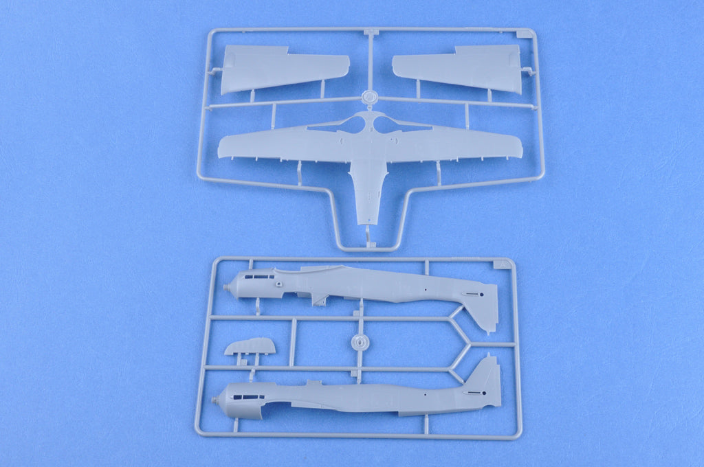Hobby Boss 1/48 Focke-Wulf FW190D-11 (6)