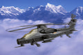 Hobby Boss 81904 200mm WZ-10 Thunderbolt (8966340411629)