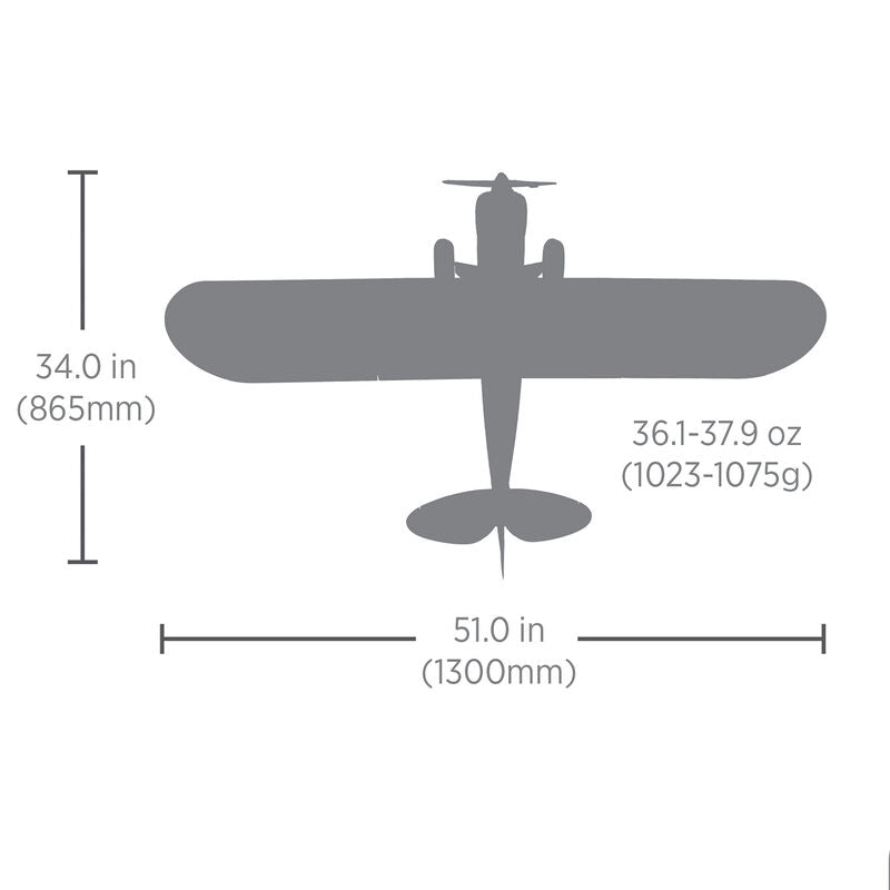 Hobby Zone HBZ32001SE+SPMXPSA200 Carbon Cub S 2 1.3m Cleetus McFarland Special Edition RTF Basic (Requires Battery &amp; Charger) (9218212626669)
