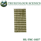 Truecolour Scenics Grass Tufts (8879660794093)