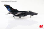 Hobby Master 1/72 Tornado ECR 'Tiger Meet' (2)