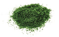 Hornby R7158 Flockage: Drk Green(reJTT95068 (7650703016173)