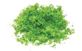 Hornby R7161 Flock: Bright Green (7650703474925)