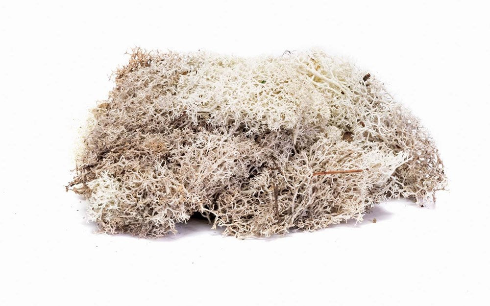 Hornby R7193 Lichen: Stone Grey (7650705375469)