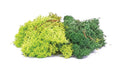 Hornby R7194 Lichen: Green Mix (8255529124077)